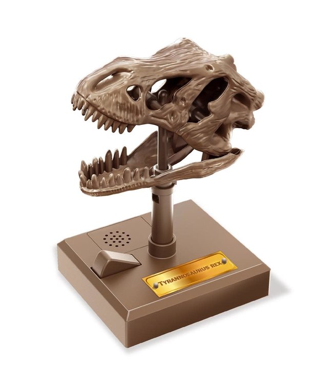 4M | KidzLabs | Roaring T-Rex Skull | 5+