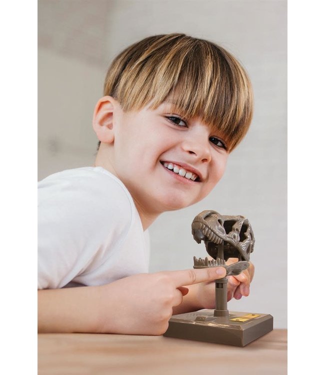 4M | KidzLabs | Roaring T-Rex Skull | 5+