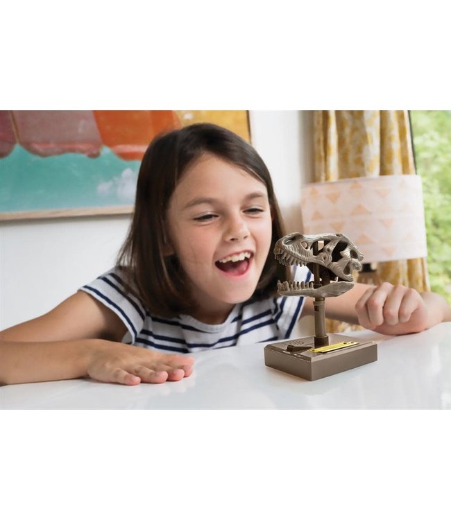 4M | KidzLabs | Roaring T-Rex Skull | 5+