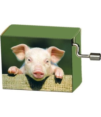 Fridolin Fridolin | Art & Music | Muziekmechaniek | Pig on Fence | Happy Birthday