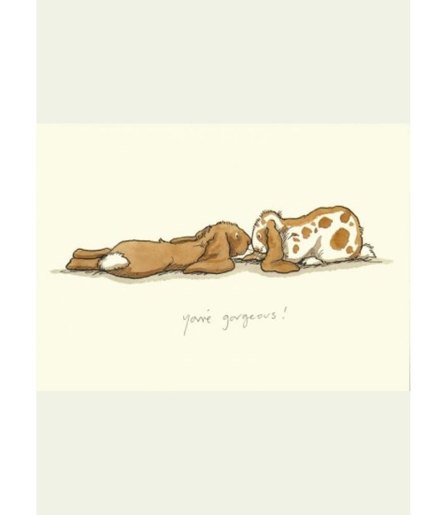 Two Bad Mice | Anita Jeram | You're Gorgeous !