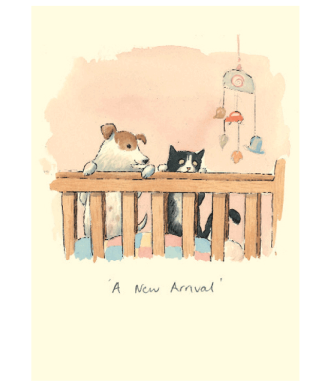 Two Bad Mice | Alison Friend | New Arrival