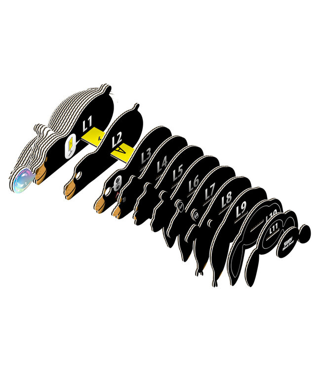 Eugy | 3D Cardboard Model Kit | Wild Life | Zwarte Beer | 6+