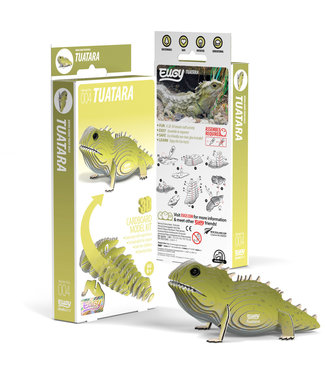 Eugy Eugy | 3D Cardboard Model Kit | Wild Life | Brughagedis | 6+