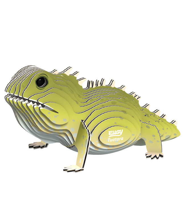 Eugy | 3D Cardboard Model Kit | Wild Life | Brughagedis | 6+