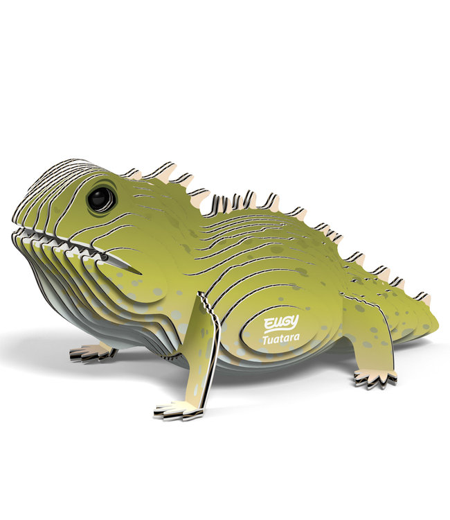 Eugy | 3D Cardboard Model Kit | Wild Life | Brughagedis | 6+