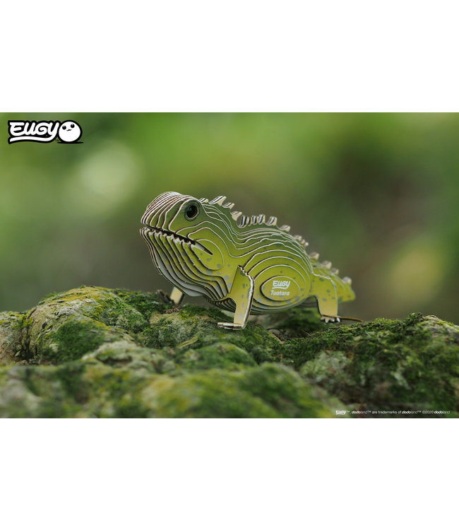 Eugy | 3D Cardboard Model Kit | Wild Life | Brughagedis | 6+