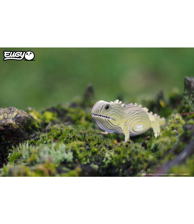 Eugy | 3D Cardboard Model Kit | Wild Life | Brughagedis | 6+