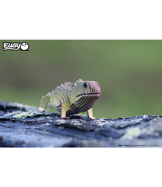 Eugy | 3D Cardboard Model Kit | Wild Life | Brughagedis | 6+