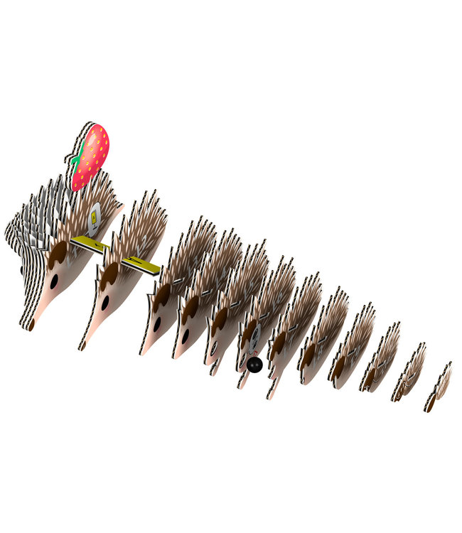 Eugy | 3D Cardboard Model Kit | Farm Life | Egel | 6+