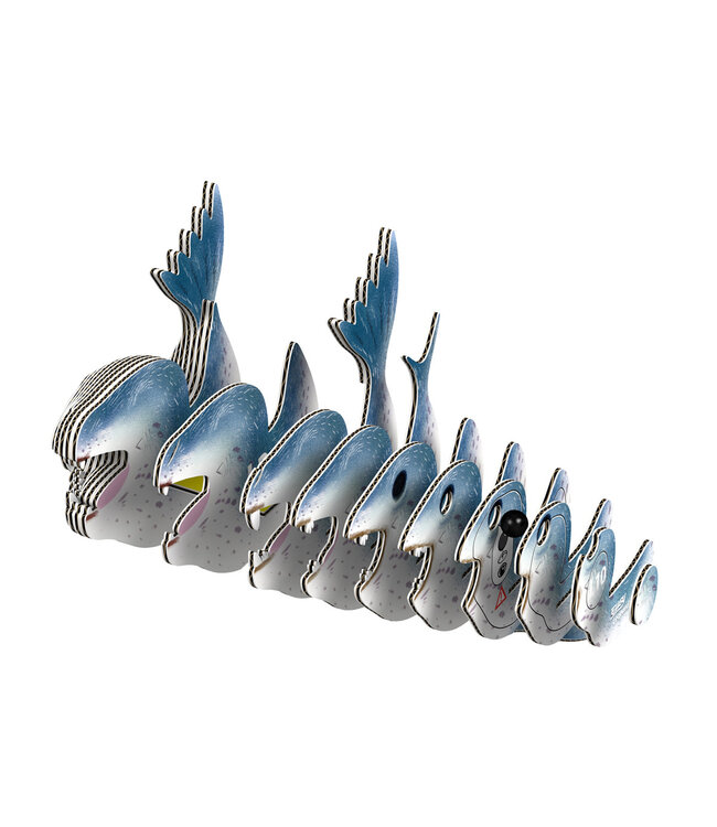 Eugy | 3D Cardboard Model Kit | Sea Life | Zeeluipaard | 6+