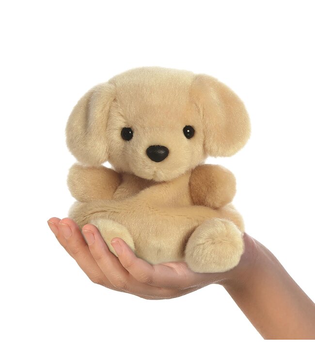 Aurora | Palm Pals | Labrador | 13 cm | 0+