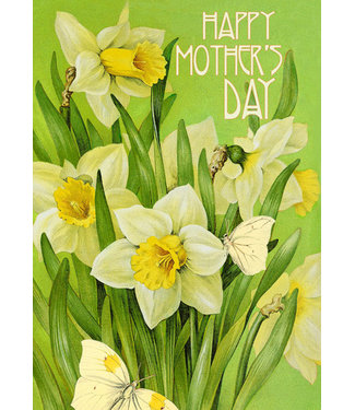 Madame Treacle Madame Treacle | Happy Mother's Day | Daffodils