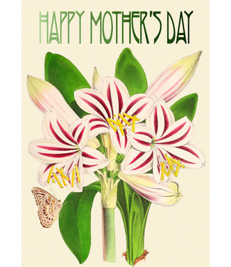 Madame Treacle Madame Treacle | Glitterkaart | Happy Mother's Day | Amaryllis