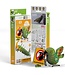 Eugy Eugy | 3D Cardboard Model Kit | Bird Life | Kea | 6+