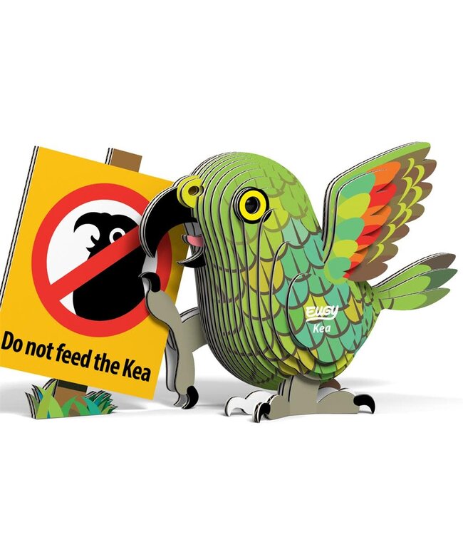 Eugy | 3D Cardboard Model Kit | Bird Life | Kea | 6+