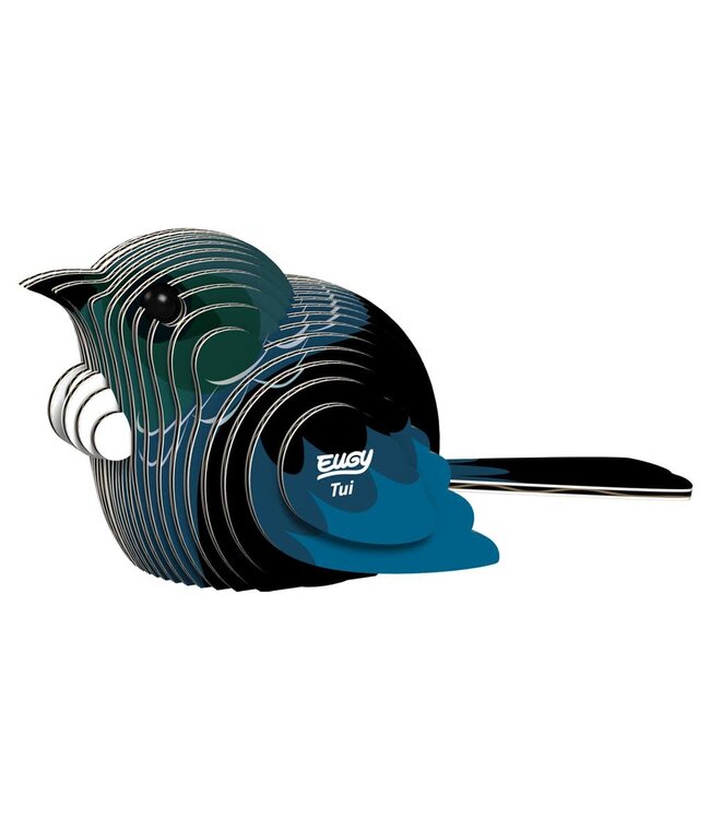 Eugy | 3D Cardboard Model Kit | Bird Life | Tui | 6+
