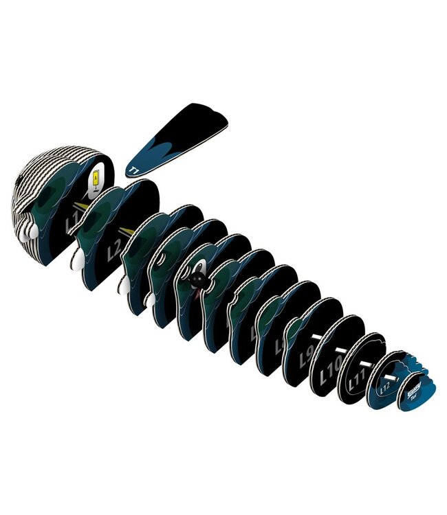 Eugy | 3D Cardboard Model Kit | Bird Life | Tui | 6+