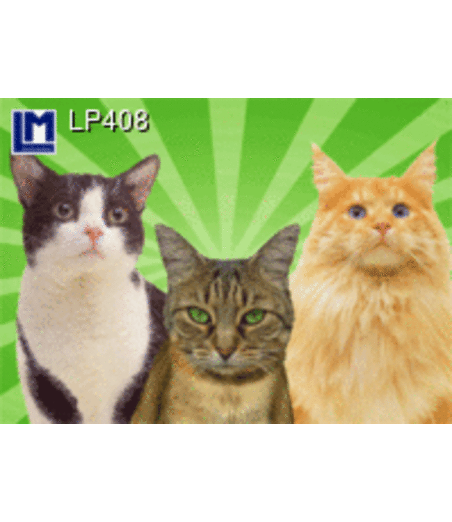 Lenticulaire Kaart Bewegend | Drie poezen | Horen, Zien en Zwijgen