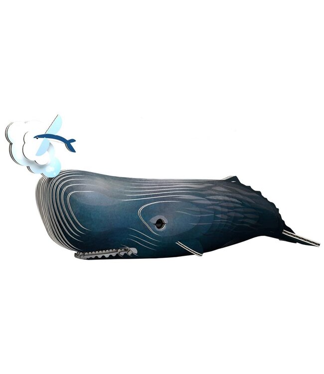 Eugy | 3D Cardboard Model Kit | Sea Life | Potvis | 6+