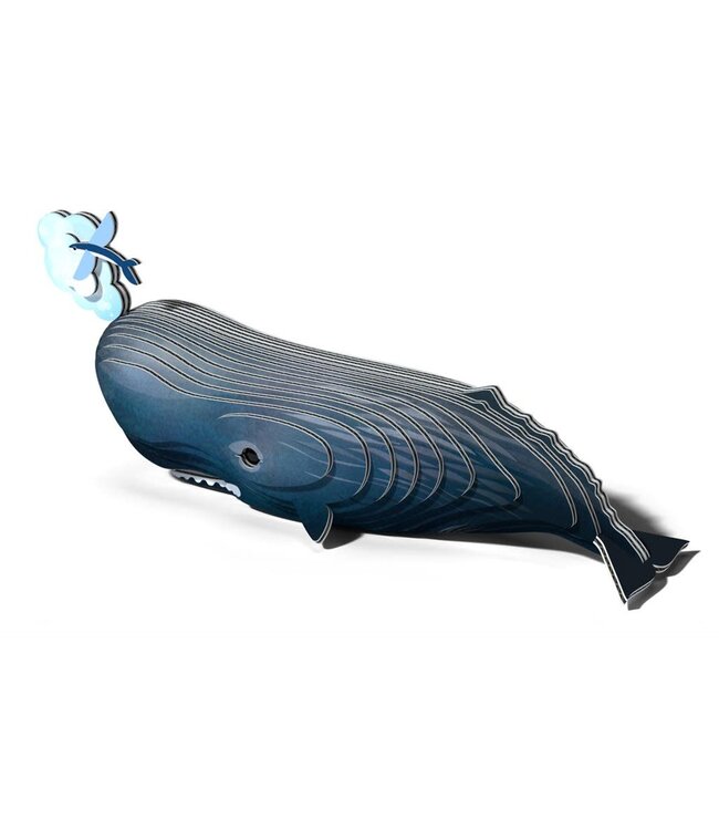 Eugy | 3D Cardboard Model Kit | Sea Life | Potvis | 6+