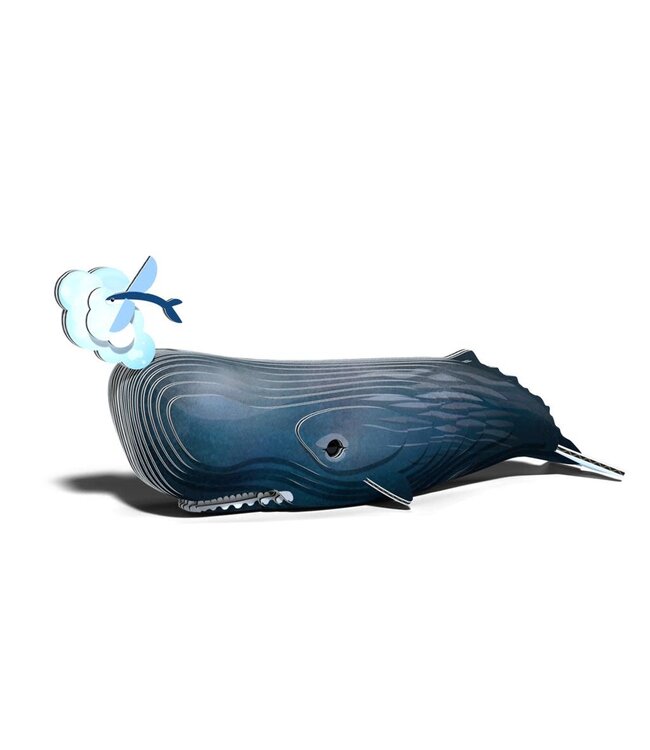 Eugy | 3D Cardboard Model Kit | Sea Life | Potvis | 6+