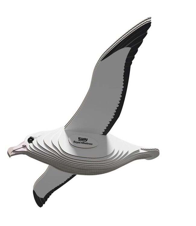 Eugy | 3D Cardboard Model Kit | Vogel | Konings Albatros | 6+