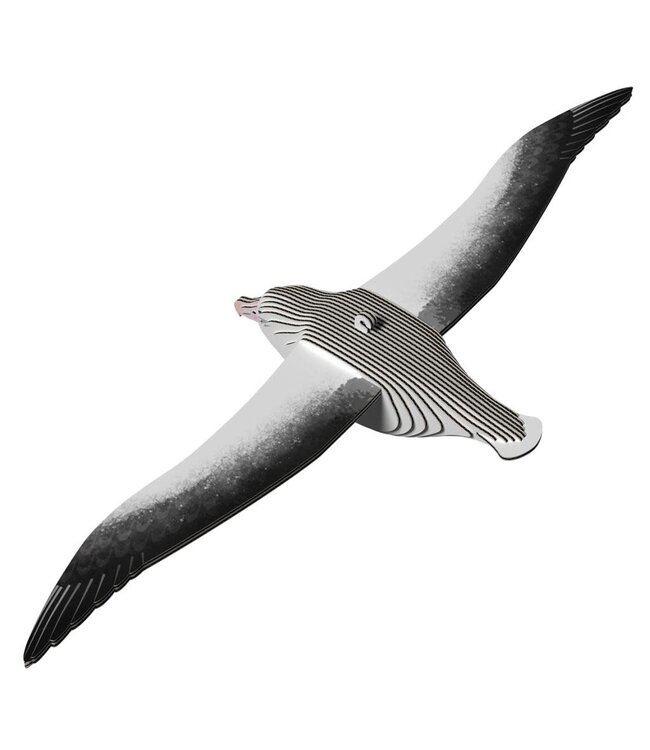Eugy | 3D Cardboard Model Kit | Vogel | Konings Albatros | 6+