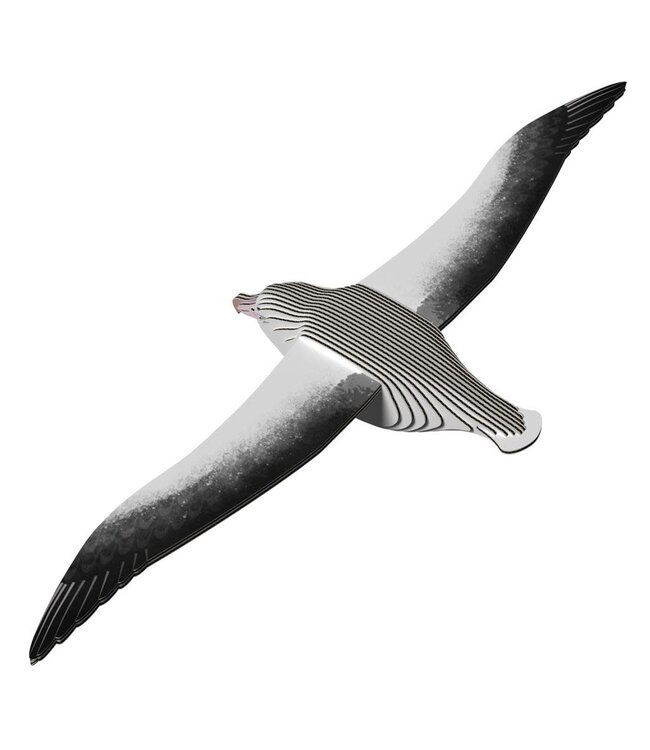 Eugy | 3D Cardboard Model Kit | Vogel | Konings Albatros | 6+