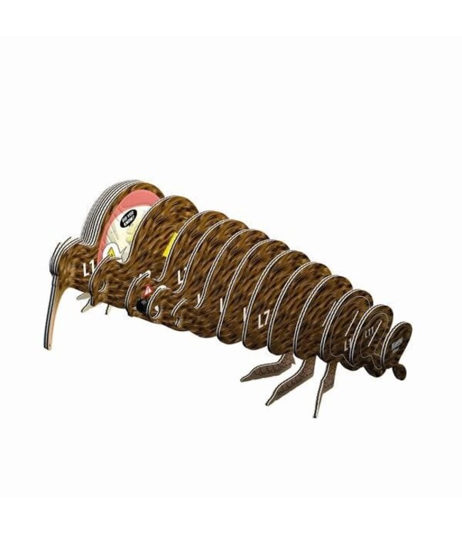 Eugy | 3D Cardboard Model Kit | Forest Life | Kiwi | 6+