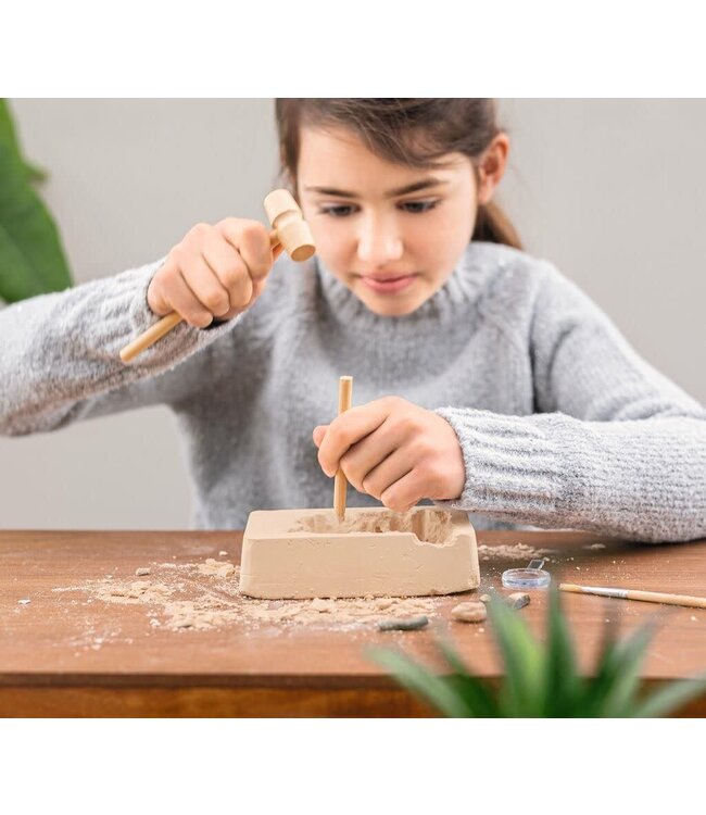 Moses | Expeditie Natuur | Uithakset Fossielen | 7+