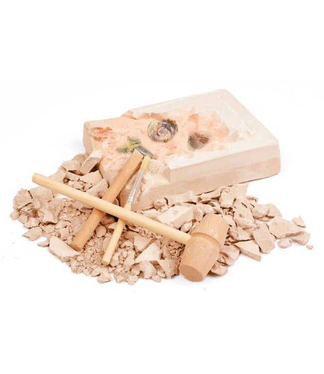 Moses | Expeditie Natuur | Uithakset Fossielen | 7+