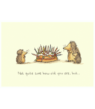 Two Bad Mice Two Bad Mice | Anita Jeram | Not Sure How Old You Are, But…