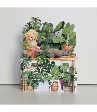 Alljoy Design | 3D | Pop-up Kaart | Honden tussen de Planten