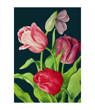 Madame Treacle Madame Treacle | Midnight Tulips