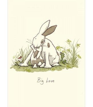 Two Bad Mice Two Bad Mice | Anita Jeram | Big Love