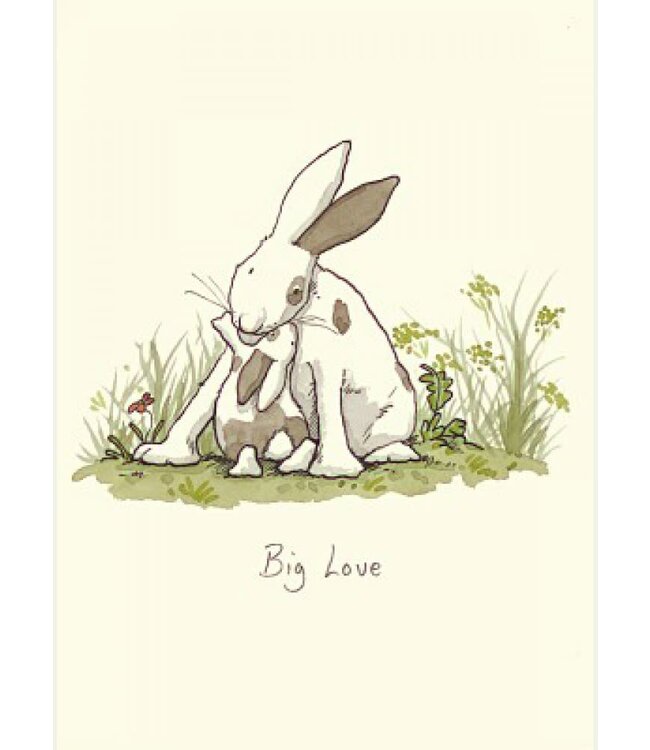 Two Bad Mice | Anita Jeram | Big Love