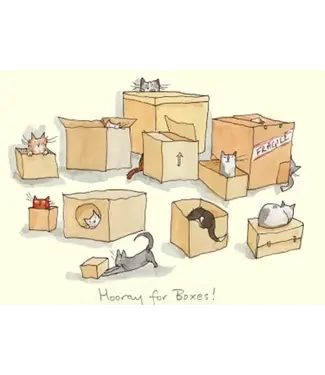 Two Bad Mice Two Bad Mice | Anita Jeram | Hooray For Boxes!