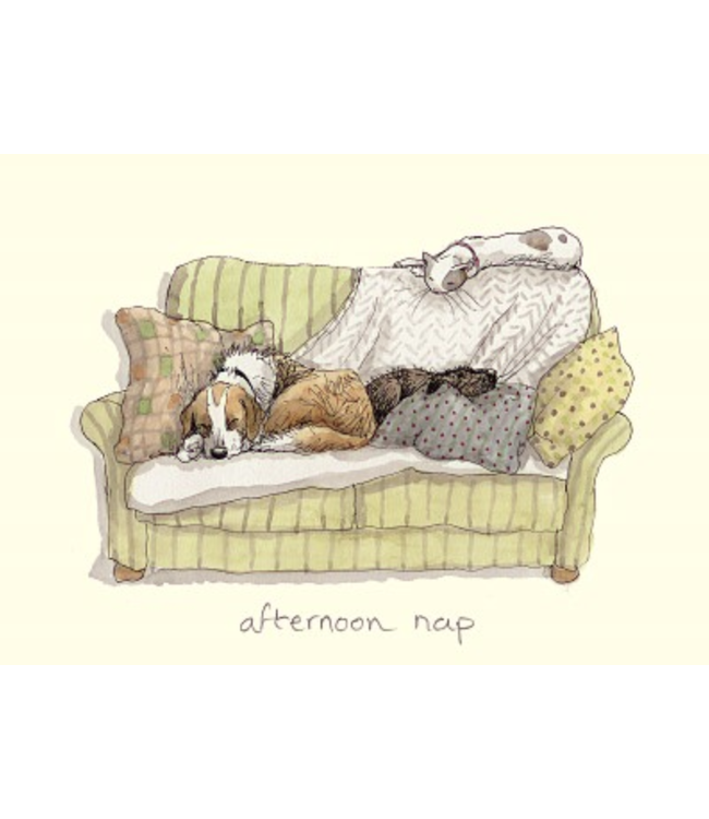 Two Bad Mice | Anita Jeram | Afternoon Nap