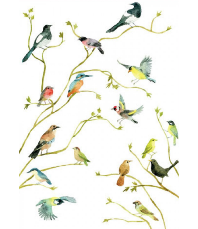 Bekking & Blitz | Alice Appleton | Birds