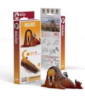 Eugy Eugy | 3D Cardboard Model Kit | Sea Life | Walrus | 6+