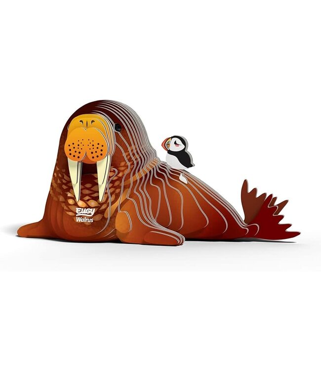 Eugy | 3D Cardboard Model Kit | Sea Life | Walrus | 6+