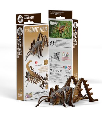 Eugy Eugy | 3D Cardboard Model Kit | Insects | Sprinkhaan | 6+