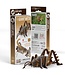 Eugy Eugy | 3D Cardboard Model Kit | Insects | Sprinkhaan | 6+