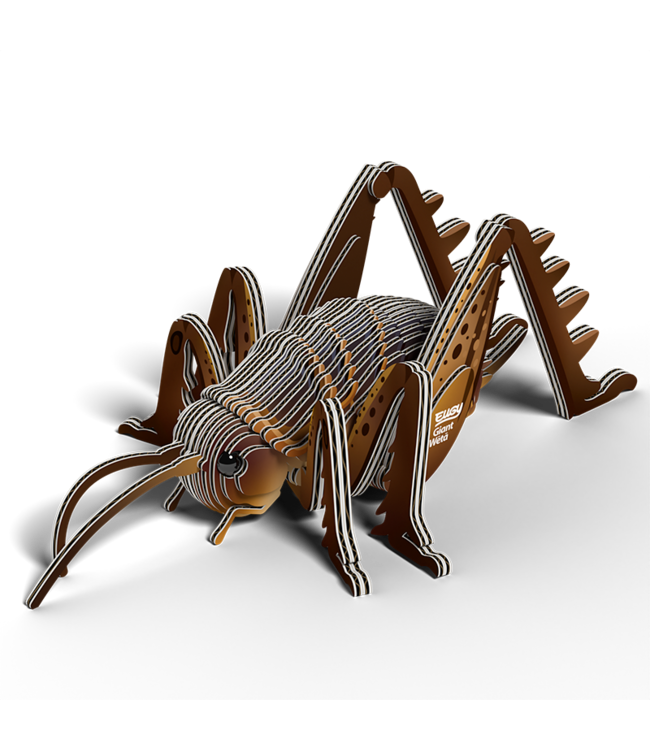 Eugy | 3D Cardboard Model Kit | Insects | Sprinkhaan | 6+