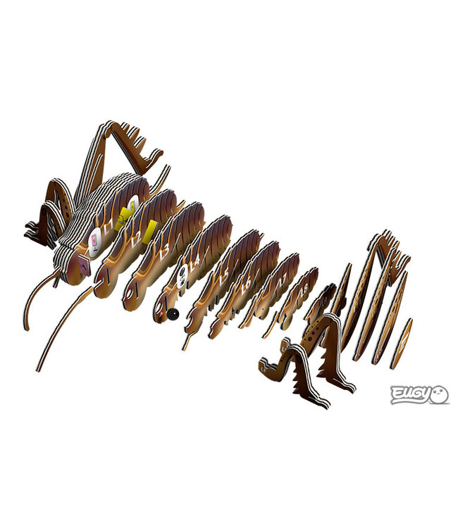 Eugy | 3D Cardboard Model Kit | Insects | Sprinkhaan | 6+