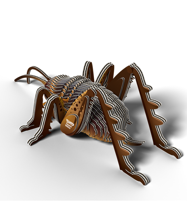 Eugy | 3D Cardboard Model Kit | Insects | Sprinkhaan | 6+