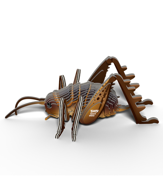 Eugy | 3D Cardboard Model Kit | Insects | Sprinkhaan | 6+