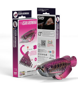 Eugy Eugy | 3D Cardboard Model Kit | Sea Life | Drakenvis | 6+