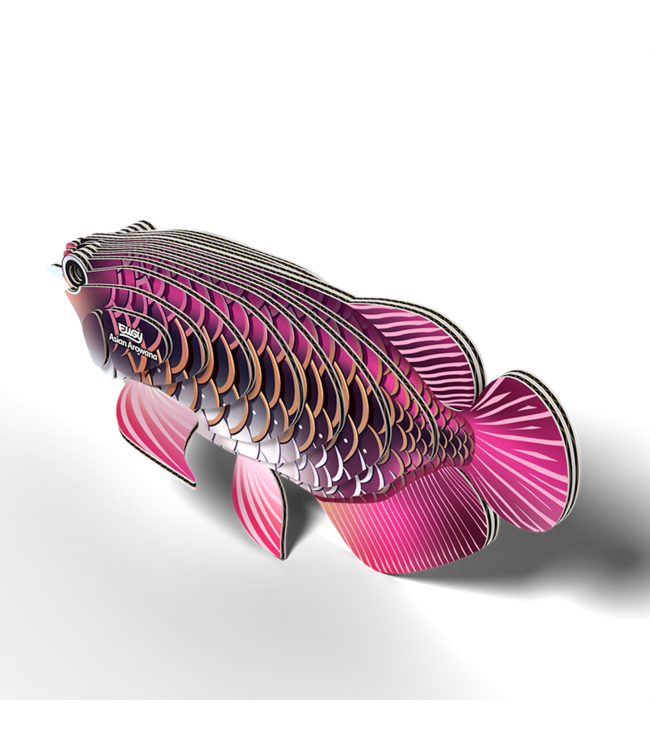 Eugy | 3D Cardboard Model Kit | Sea Life | Drakenvis | 6+